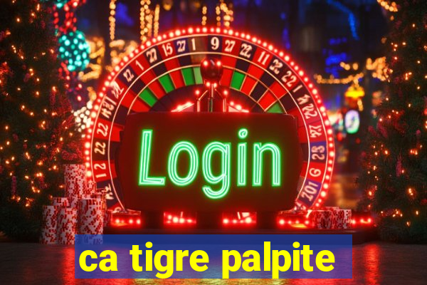 ca tigre palpite